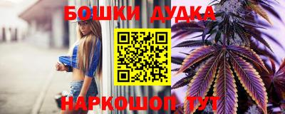 apvp Лесосибирск