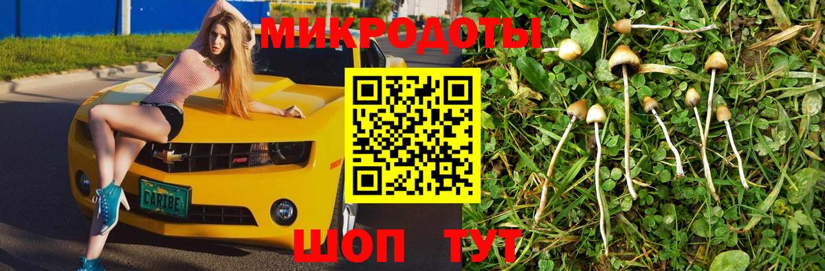 Псилоцибиновые грибы прущие грибы  даркнет сайт  Псилоцибиновые грибы Cubensis  Ефремов  Вход с VPN 